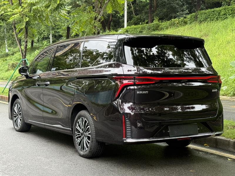 Dongfeng Forthing Xinghai V9, 2025 — фото 4 из 12