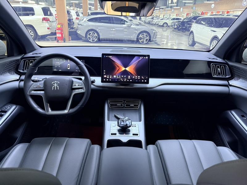 BYD Song Pro Hybrid, 2025 — фото 8 из 11