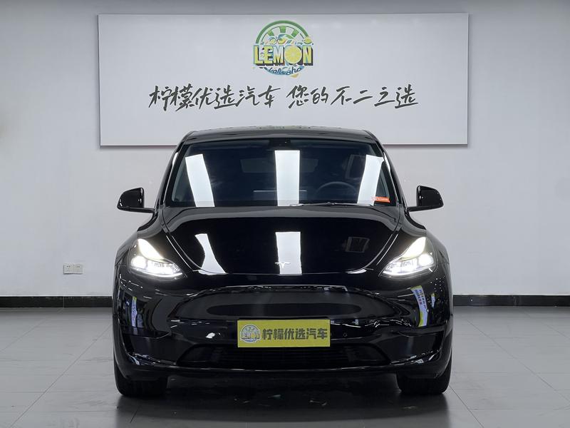Tesla Model Y, 2022 — фото 2 из 12