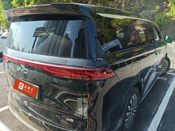 BYD M9, 2025 — фото 4 из 9