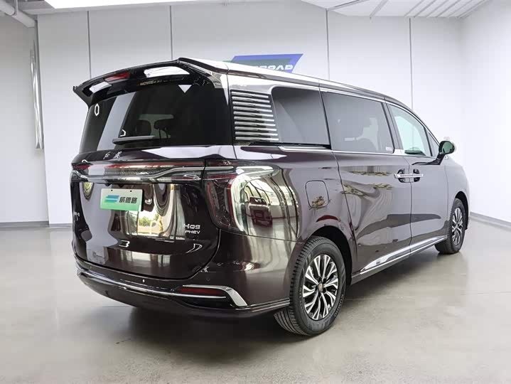 Hongqi HQ9 Hybrid, 2024 — фото 3 из 9