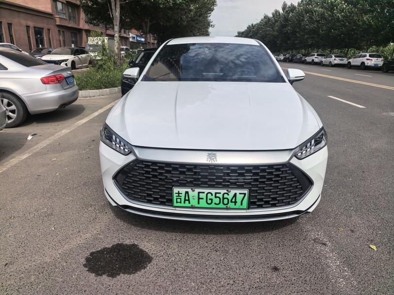 BYD Qin Plus, 2024 — фото 2 из 10