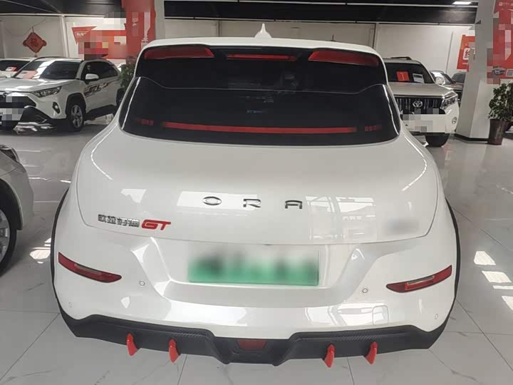 Ora Good Cat GT (03 GT), 2024 — фото 6 из 9