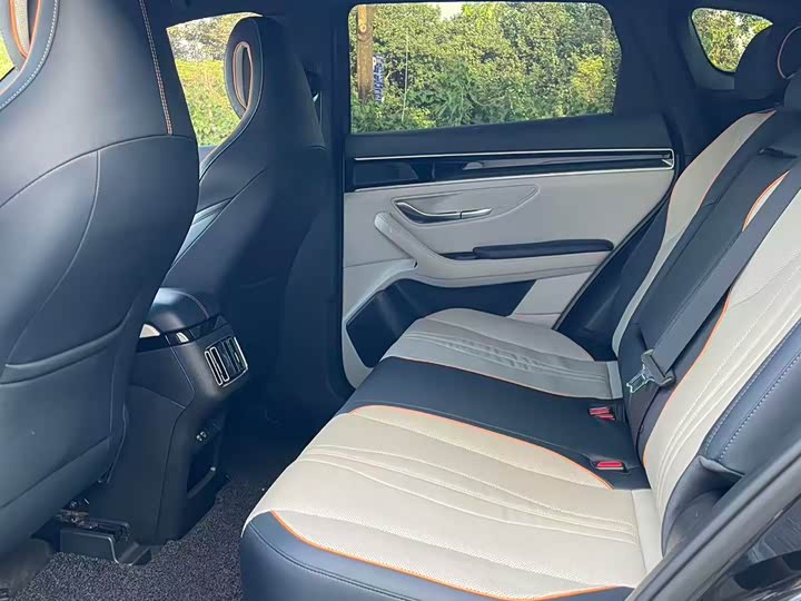 BYD Song Plus Hybrid/EV, 2022 — фото 6 из 9