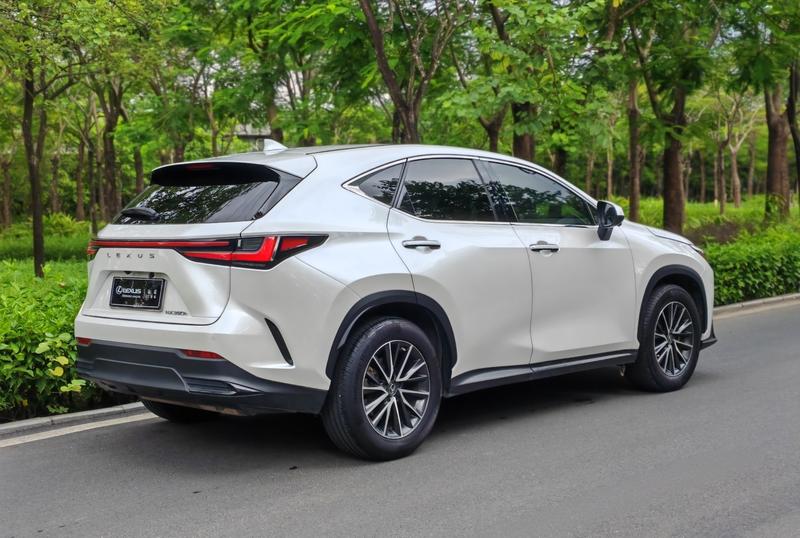 Lexus NX, 2022 — фото 7 из 12