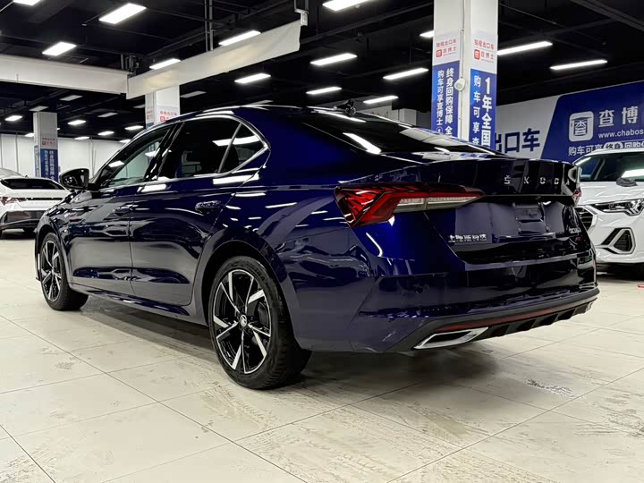 Skoda Octavia Pro, 2021 — фото 6 из 9