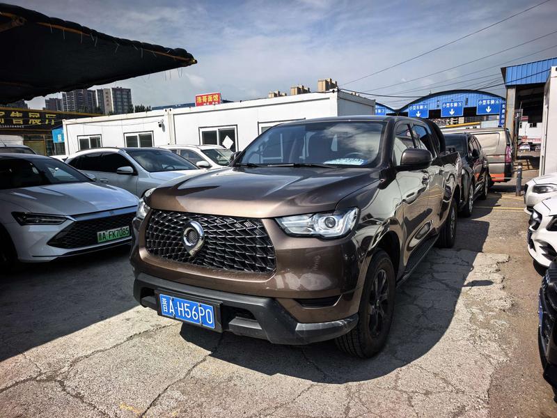 Great Wall Pao, 2023 — купить в Нижнем Новгороде под ключ