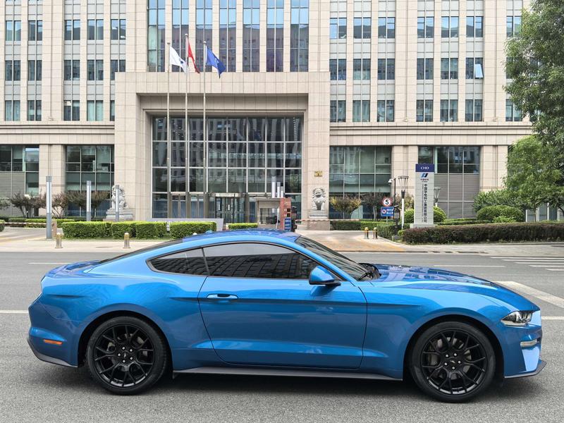 Ford Mustang, 2021 — фото 8 из 12