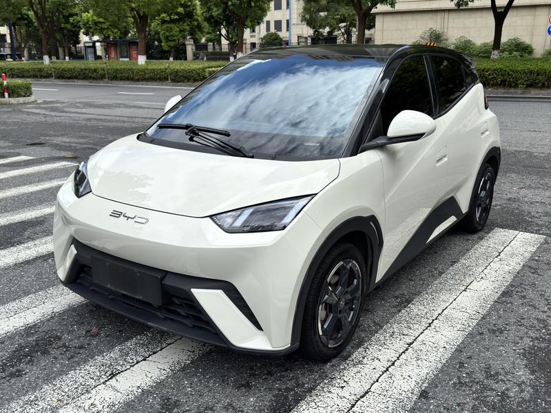 BYD Seagull, 2023 — купить в Белгороде под ключ