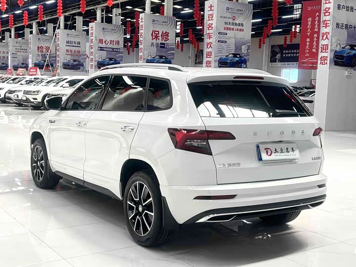 Skoda Karoq, 2023 — фото 6 из 9