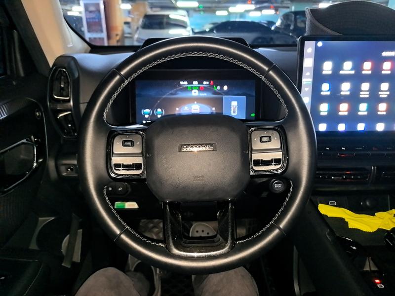 Haval H-Dog Hybrid, 2024 — фото 7 из 12
