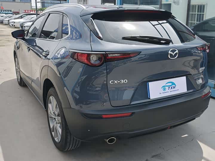 Mazda CX-30, 2023 — фото 8 из 9