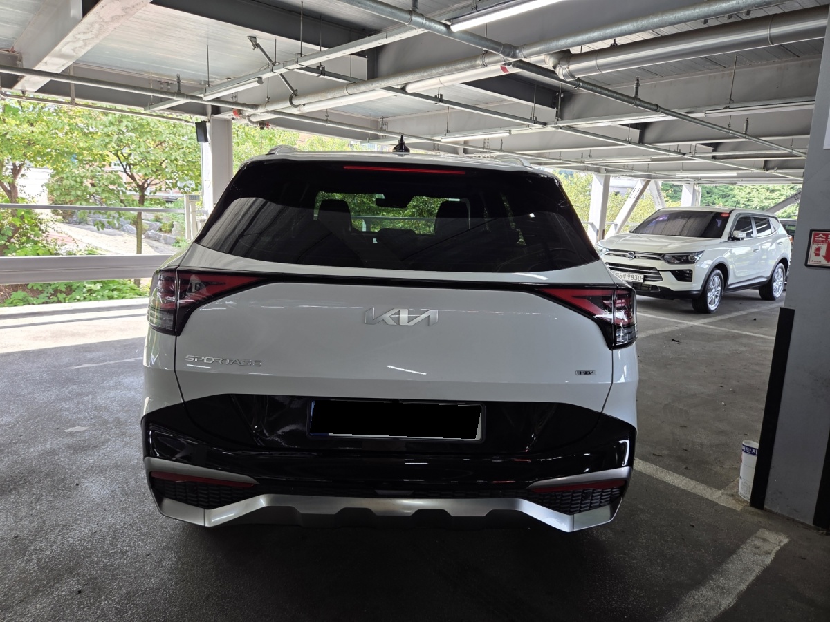 Kia Sportage, 2024 — фото 3 из 12