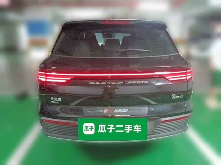BYD Song Pro Hybrid, 2024 — фото 3 из 9