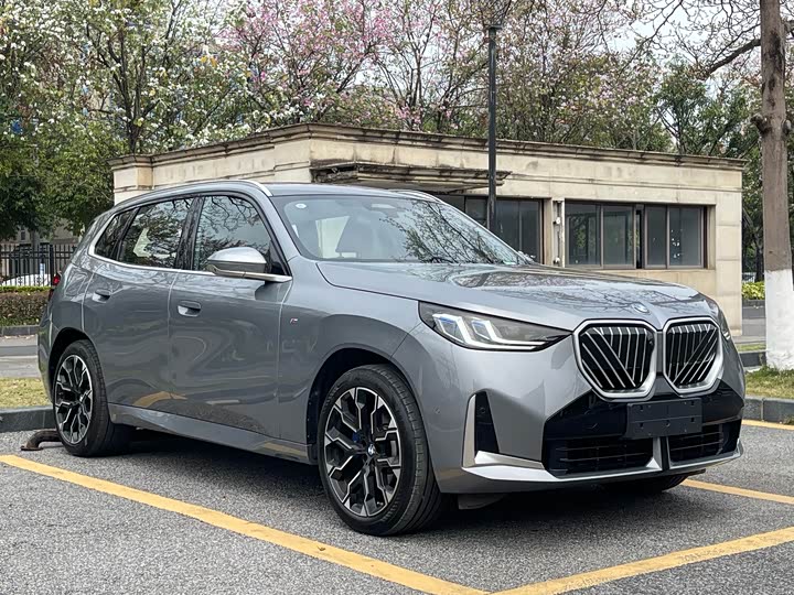 BMW X3, 2024 — фото 3 из 9