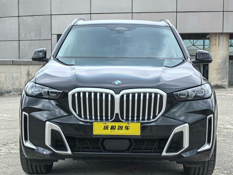 BMW X5, 2025 — фото 2 из 12