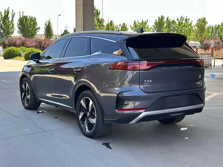 BYD Tang Hybrid/EV, 2023 — фото 8 из 9