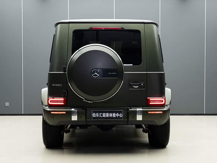 Mercedes-Benz G-Class, 2024 — фото 8 из 9