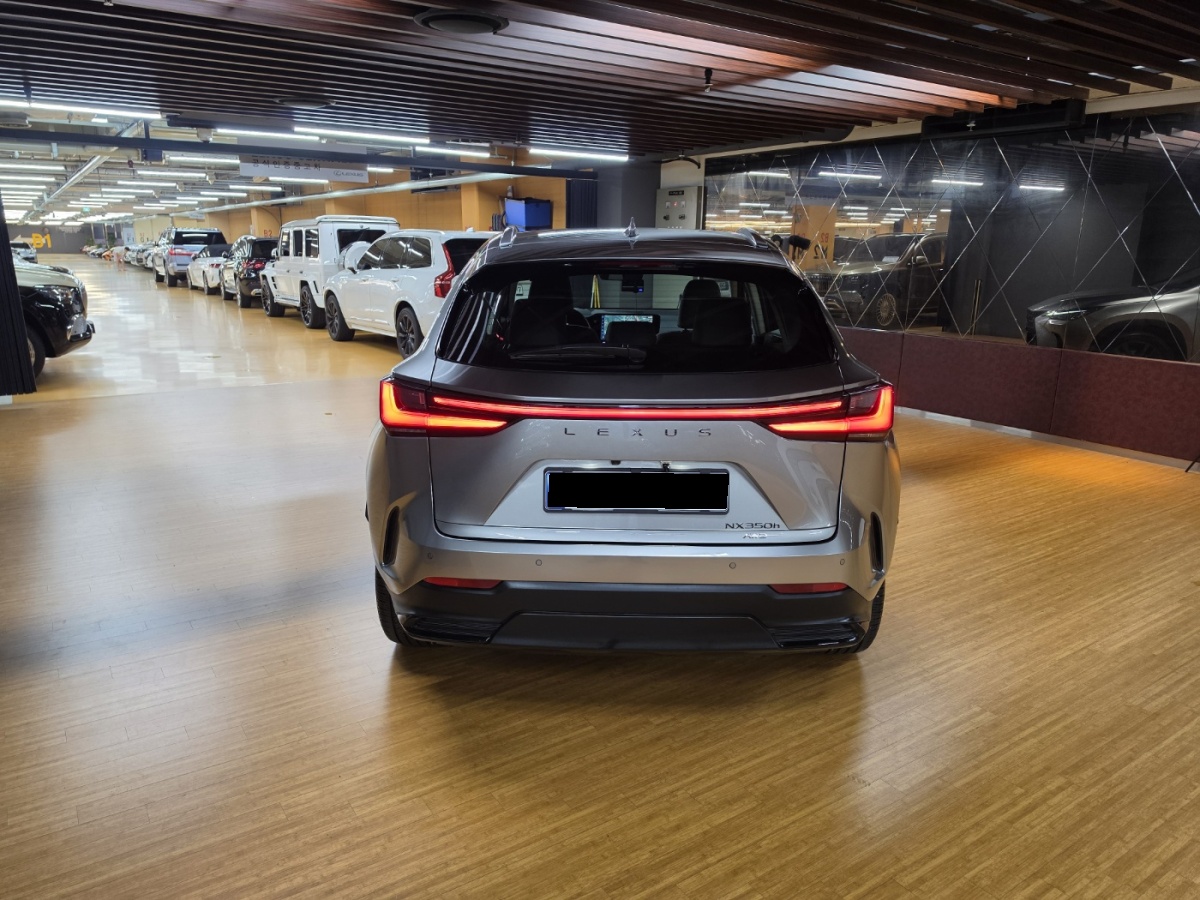 Lexus NX, 2025 — фото 4 из 12