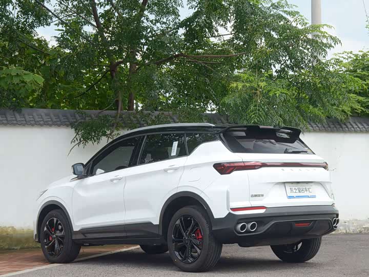 Geely Coolray, 2025 — фото 9 из 9