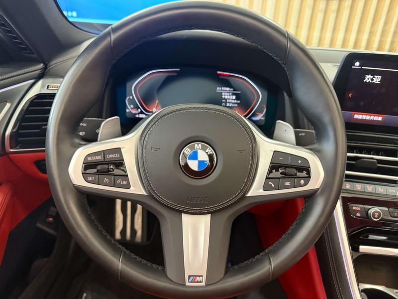 BMW 8 Series, 2023 — фото 7 из 10