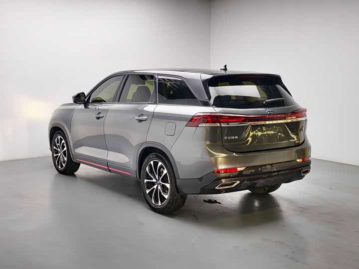 Changan Oshan X7 Plus, 2023 — фото 6 из 9