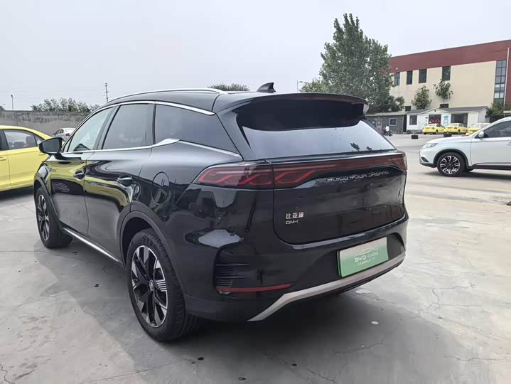 BYD Tang Hybrid/EV, 2024 — фото 6 из 9