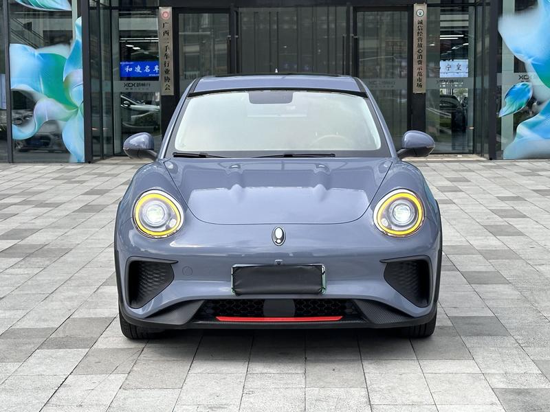 Ora Good Cat GT (03 GT), 2022 — фото 2 из 12