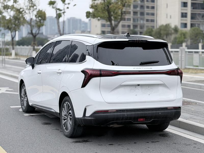 Dongfeng Forthing Yacht, 2023 — фото 5 из 12