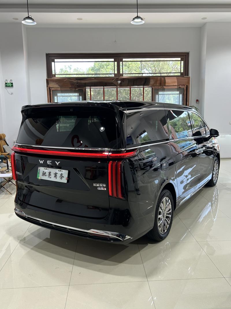 Wey 80 Hybrid, 2025 — фото 3 из 6