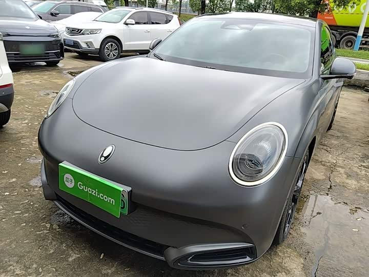 Ora Lightning Cat (07), 2024 — купить в Оренбурге под ключ