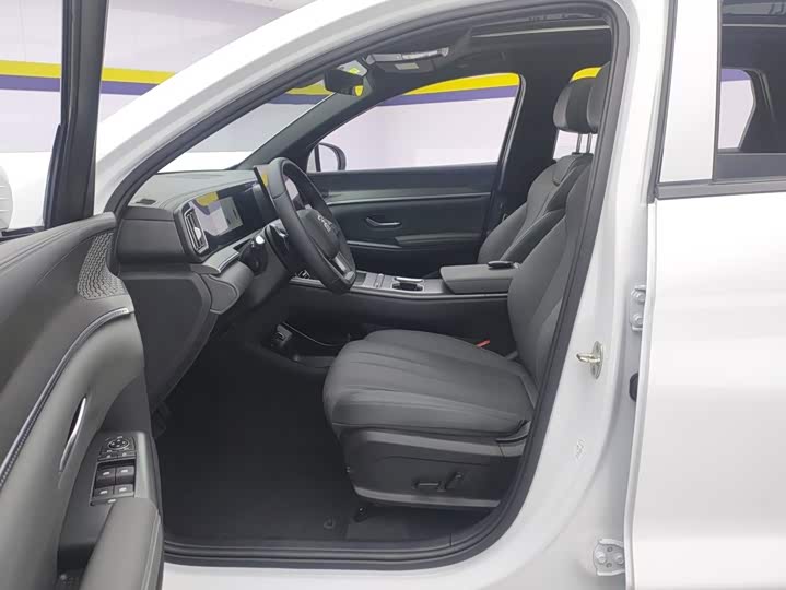BYD Song Pro Hybrid, 2026 — фото 9 из 9