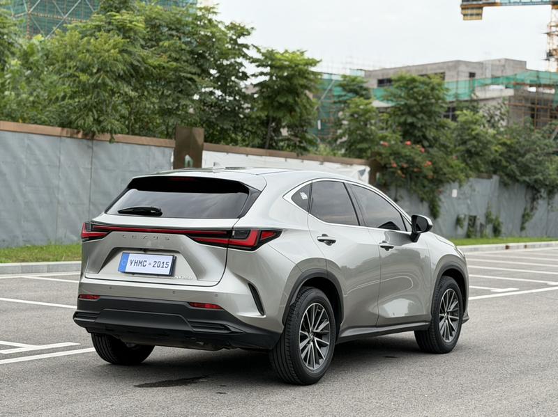 Lexus NX, 2022 — фото 7 из 12