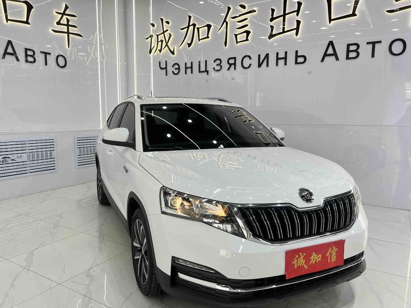 Skoda Kamiq, 2024 — фото 3 из 12