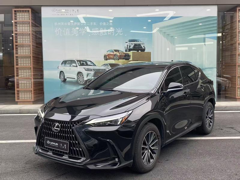 Lexus NX, 2023 — купить в Санкт-Петербурге под ключ