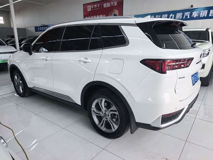 Ford Equator Sport, 2023 — фото 5 из 9
