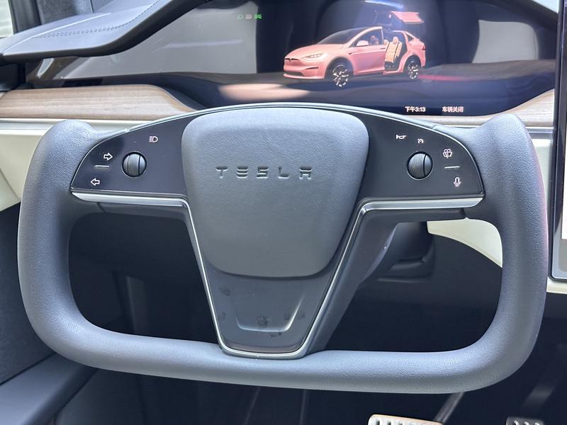 Tesla Model X, 2023 — фото 7 из 11