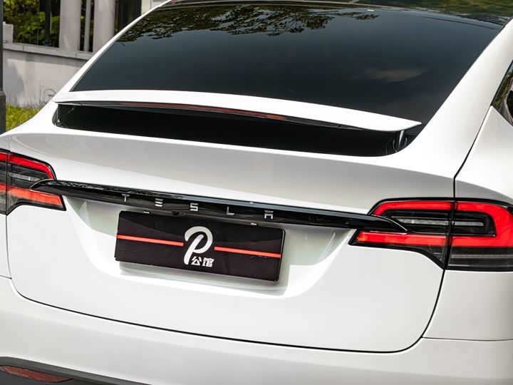 Tesla Model X, 2023 — фото 9 из 9