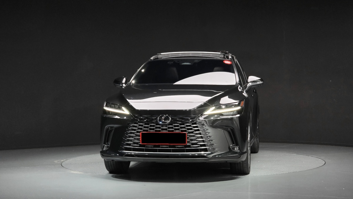 Lexus RX, 2024 — фото 3 из 12