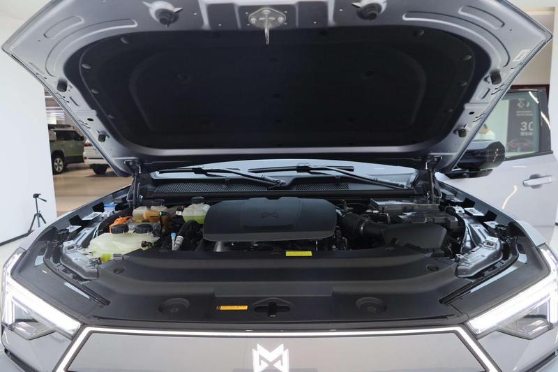 Dongfeng Mengshi M18-3, 2025 — фото 9 из 12