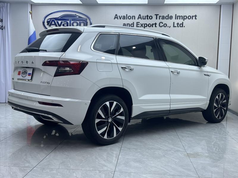 Skoda Karoq, 2024 — фото 6 из 12