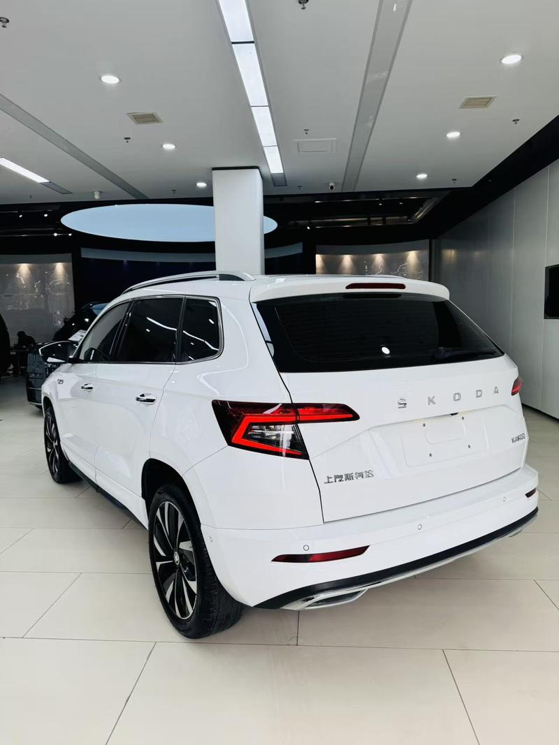 Skoda Karoq, 2023 — фото 4 из 12