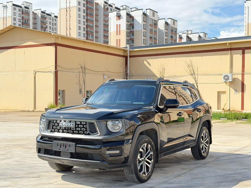 Haval H-Dog, 2023 — купить в Рязани под ключ