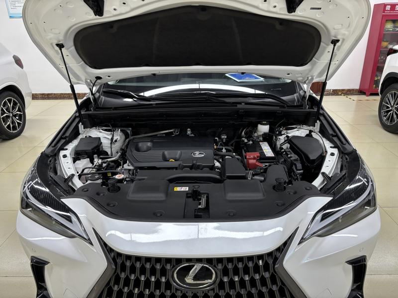 Lexus NX, 2023 — фото 7 из 12