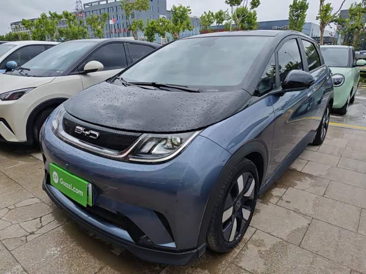 BYD Dolphin, 2023 — купить в Владимире под ключ