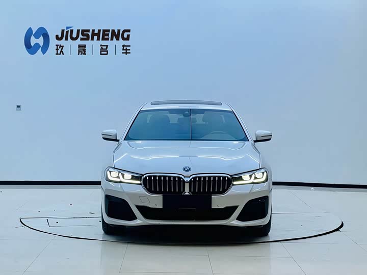 BMW 5 Series Hybrid, 2021 — фото 2 из 9
