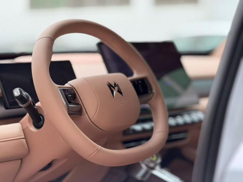 Dongfeng Mengshi M18-3, 2025 — фото 10 из 12