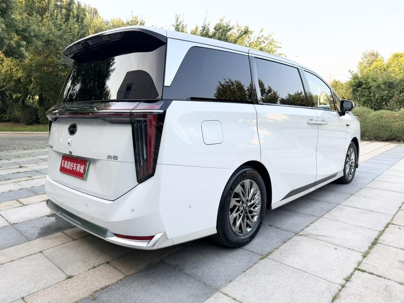 GAC Trumpchi M8 Hybrid, 2025 — фото 6 из 12