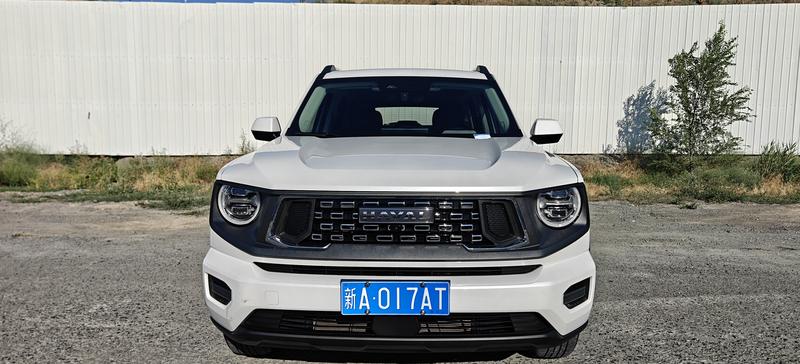 Haval H-Dog, 2025 — фото 2 из 12