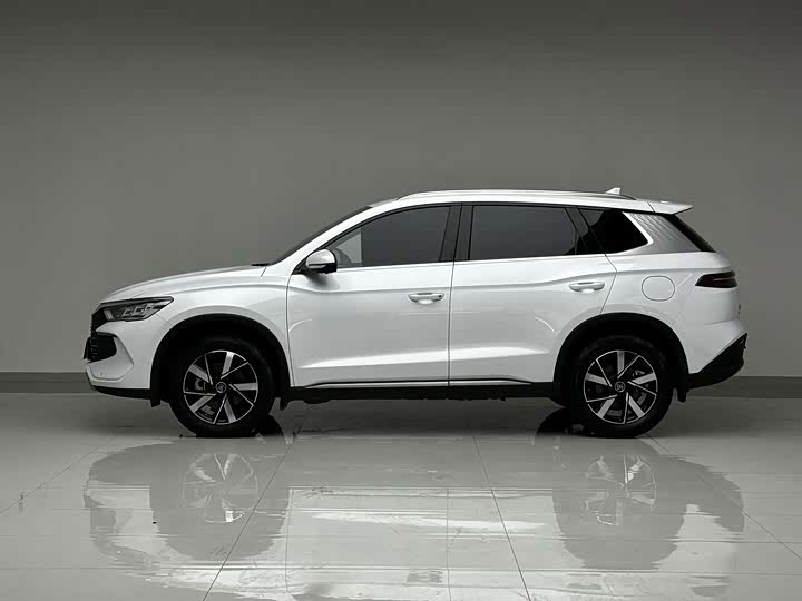 BYD Song Pro Hybrid, 2024 — фото 8 из 9